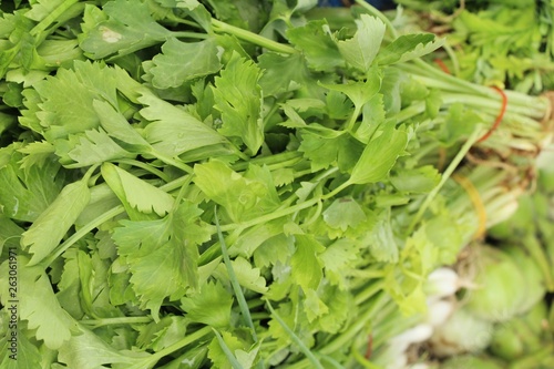 Celery vegetables for cooking in the market