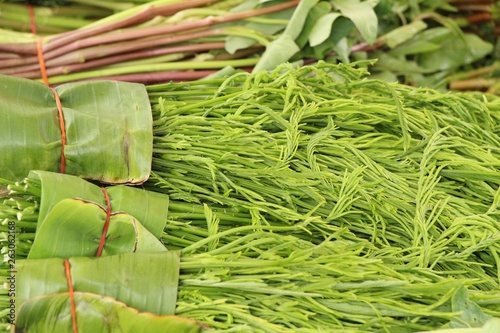 Acacia pennata for cooking at street food photo