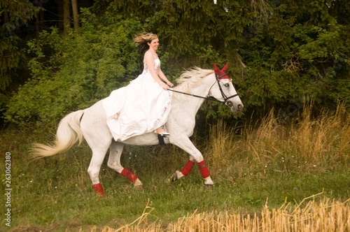 The bride rider rides a white horse along the path on the edge of the forest.