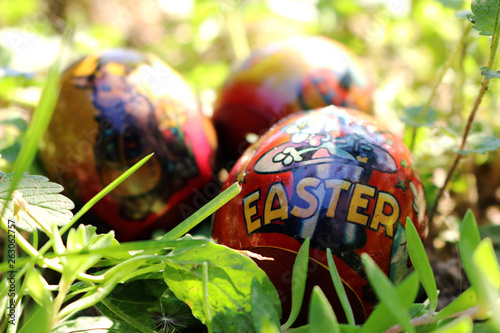 colorful  easter eggs in green grass