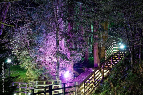 Woodford Bridge at Night photo