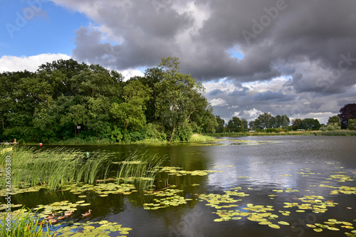  Żuławy Wiślane - Rybina photo