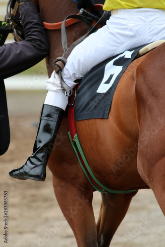 Thoroughbred Horse Racing Details © Cody