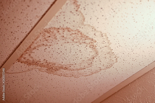 Konstfotografi Ceiling Tile With a Water Stain on it