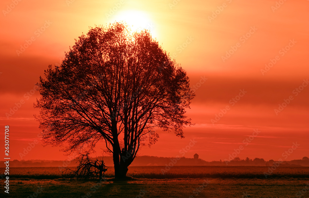 Fototapeta premium Sunrise on fields of the the French gâtinais regional nature park