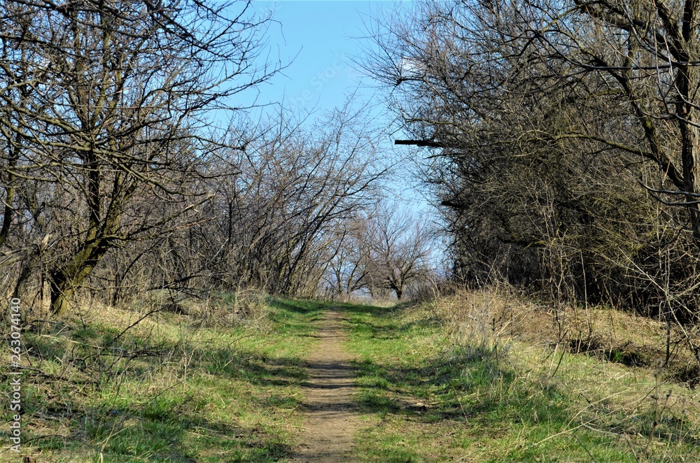 road to the hill