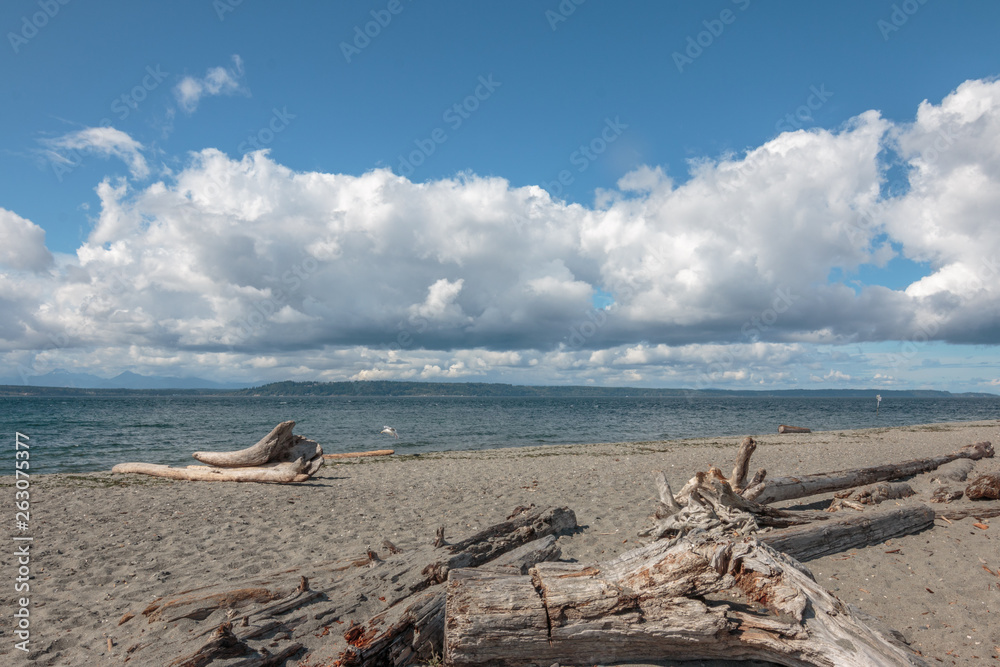 Cloudscape over sandy beach and driftwood. Cloudscape over sandy beach and driftwood.