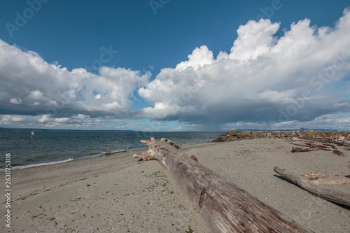 Fototapeta Naklejka Na Ścianę i Meble -  Cloudscape over sandy beach and driftwood.