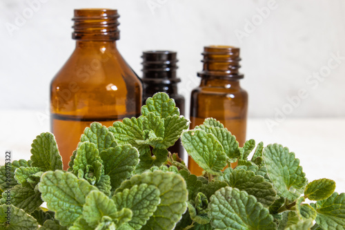 A bottle of mint essential oil with fresh mint leaves in the foreground.