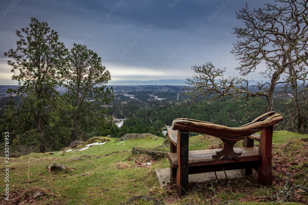 Scenic View from a Wooden Bench