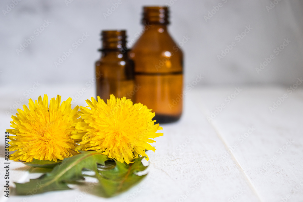 Bottle of essential oil with dandelion flowers in the foreground. Flower essential oil.