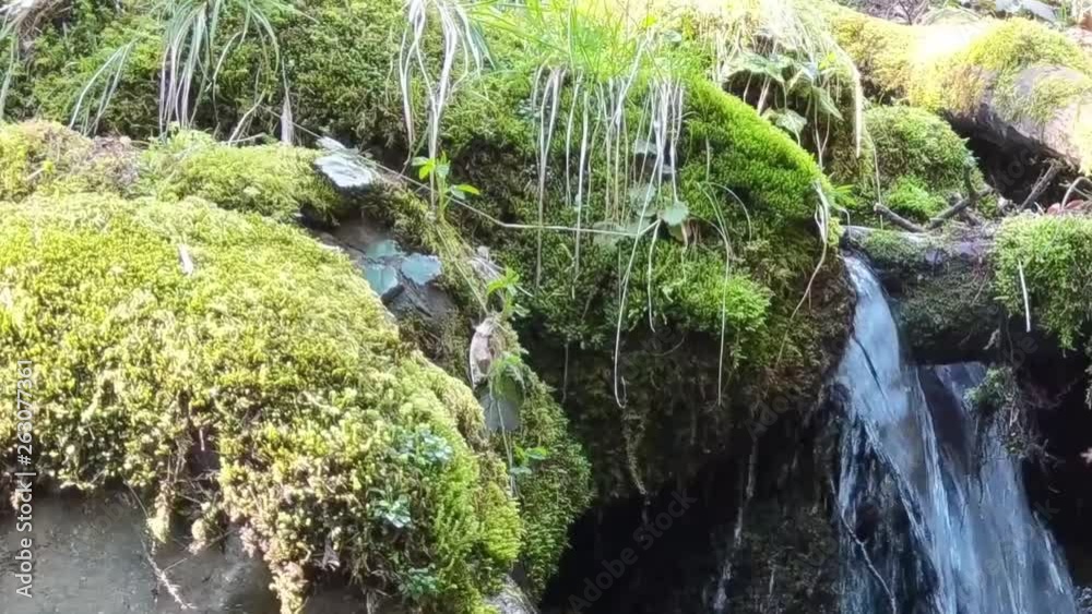 Water cascading over moss covered rocks in a mountain stream on a warm spring day Water cascading over moss covered rocks in a mountain stream on a warm spring day