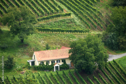 steirische Weinstrasse photo