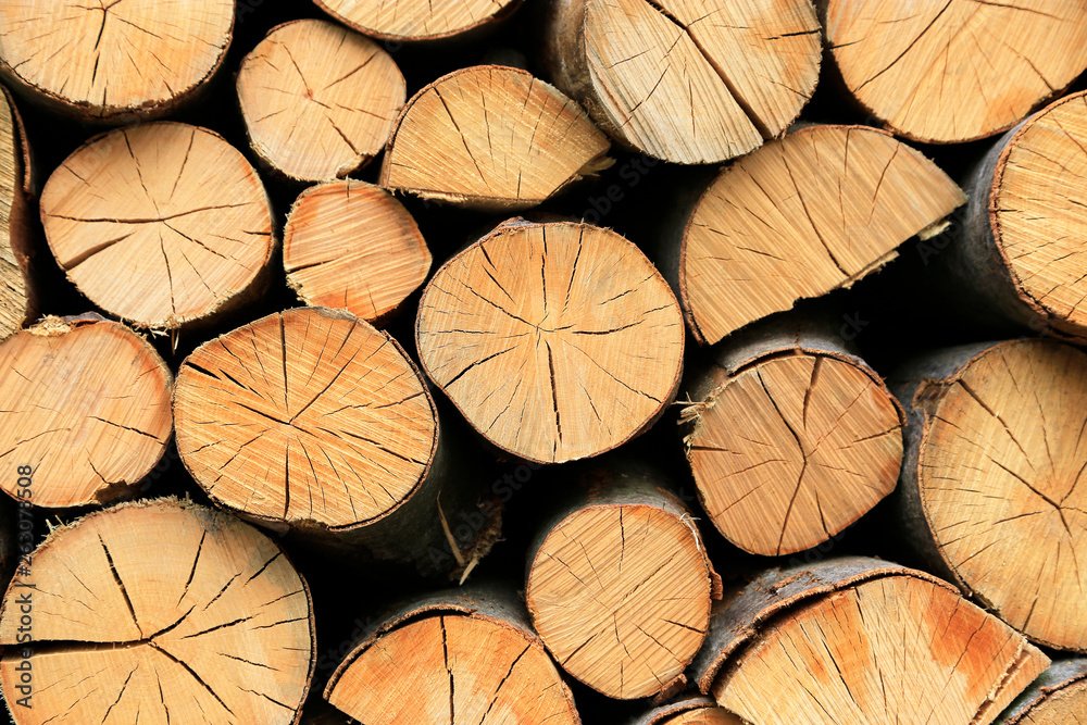 Fototapeta premium Firewood pile stacked chopped wood trunks