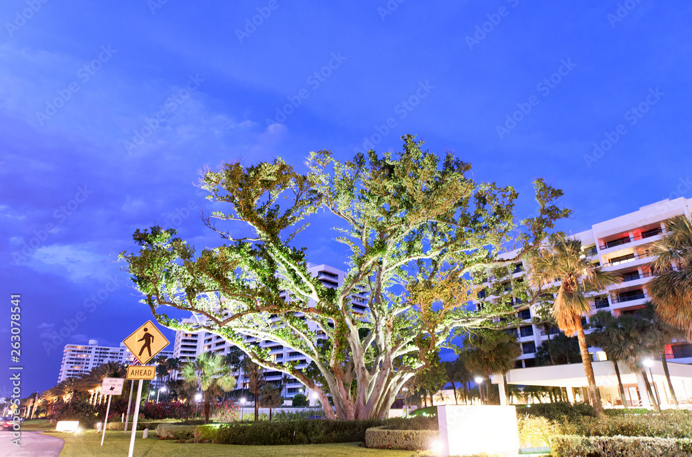 Naklejka premium Boca Raton at night, Florida. Road,trees and buildings