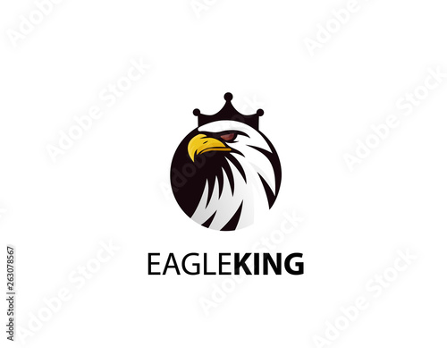 Eagle king logo - Elegant high quality design photo