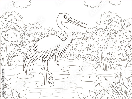 Heron by a small lake among...