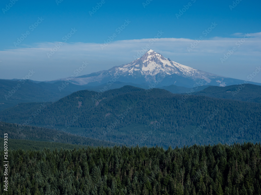View of Mount Hood from Sherrard Point on Larch Mountain - Columbia River Gorge, Oregon