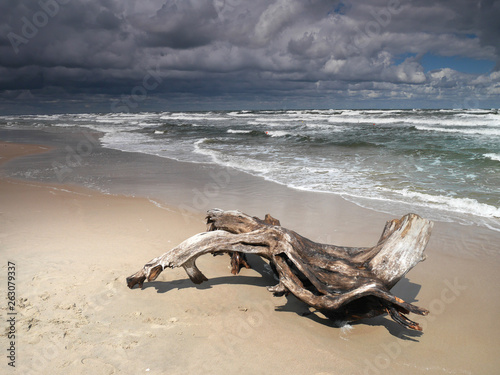 Burza - Morze Bałtyckie - plaża - Mierzeja Wiślana