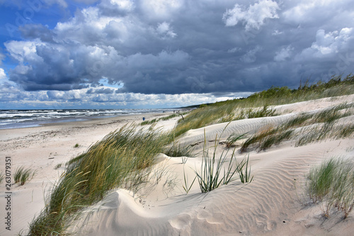 Fototapeta Naklejka Na Ścianę i Meble -  wydma - Morze Bałtyckie - Plaża - mierzeja wiślana