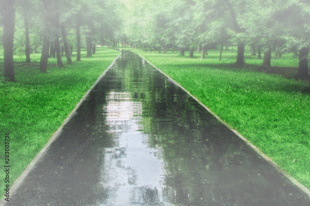 Park after rain. Wet track in summer after a shower. Sky reflected in asphalt. Green landscape after rain. Wet trees and grass in Park.