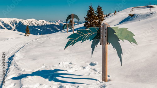 Beautiful alpine winter view at the famous Steinplatte-Waidring-Tyrol-Austria photo