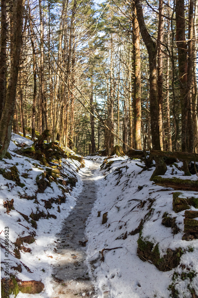 Icy Appalachian Trail, hiking trail in the Great Smoky Mountains National Park Icy Appalachian Trail, hiking trail in the Great Smoky Mountains National Park