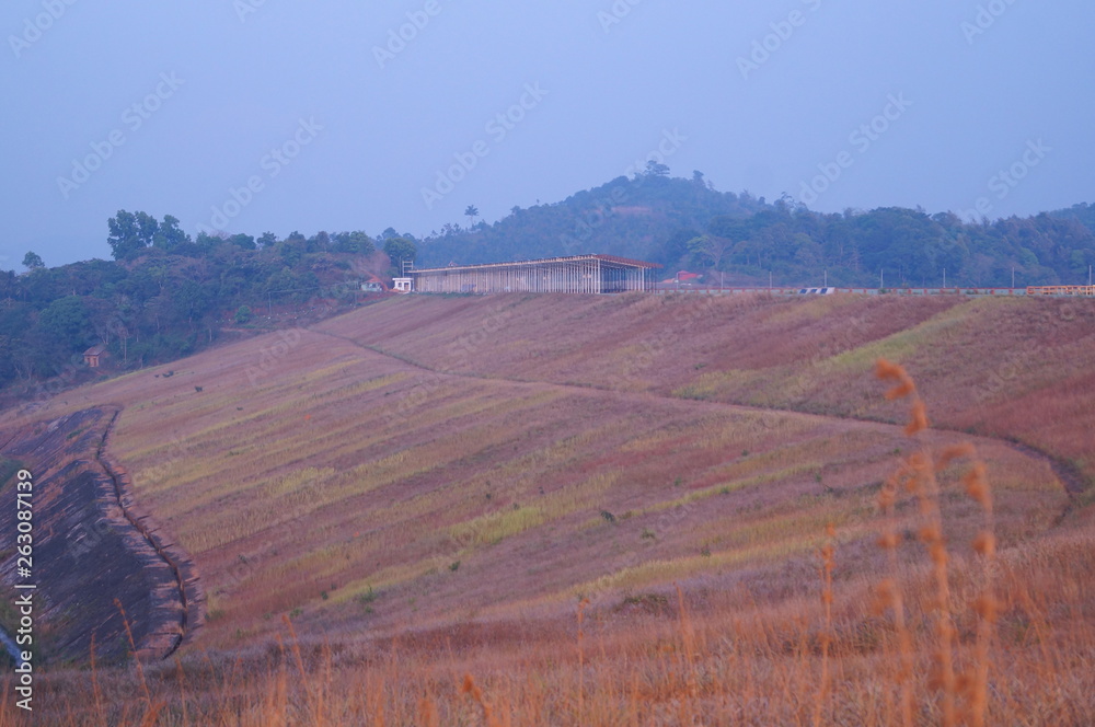 Fototapeta premium nature