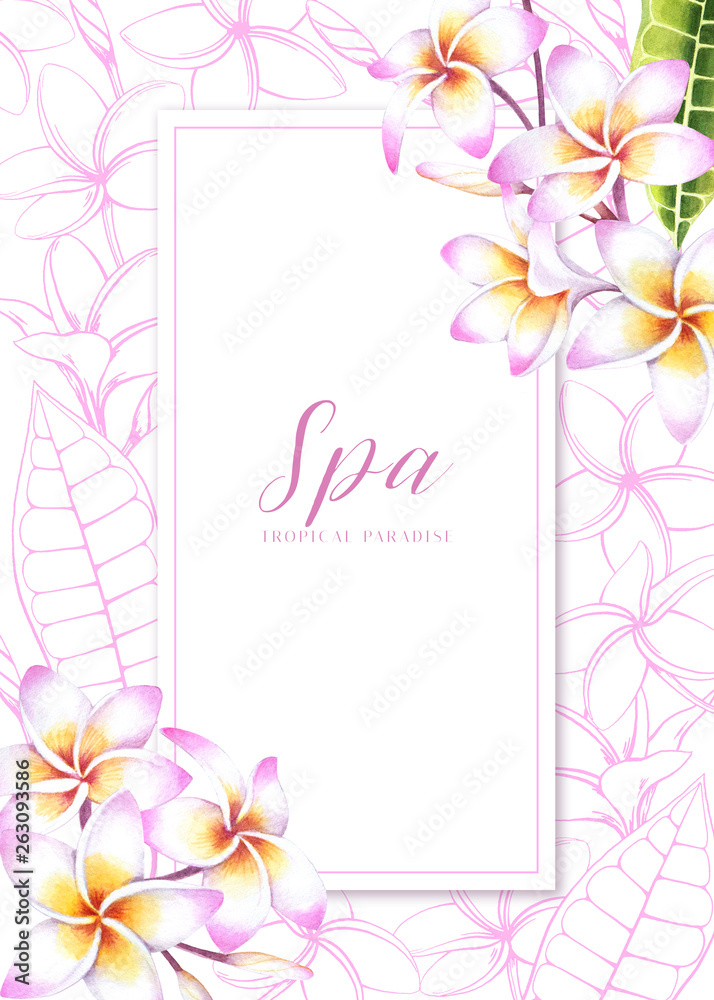 Banner template with plumeria flowers on white background. Tropical illustration for spa salon or packaging.