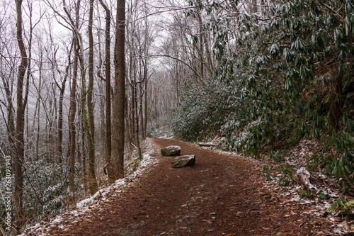 Middle Prong hiking trail on a snowy day in the Great Smoky Mountains National Park Tennessee © Martina