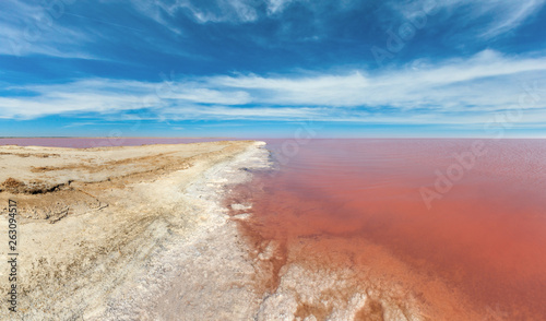 Pink salty Syvash Lake, Ukraine