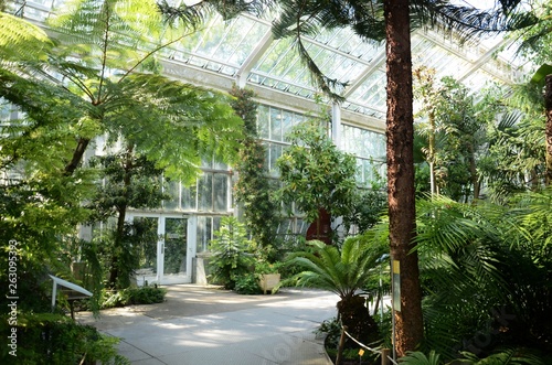 Konstfotografi Jardin botanique de Meise (Brabant flamand- Belgique)