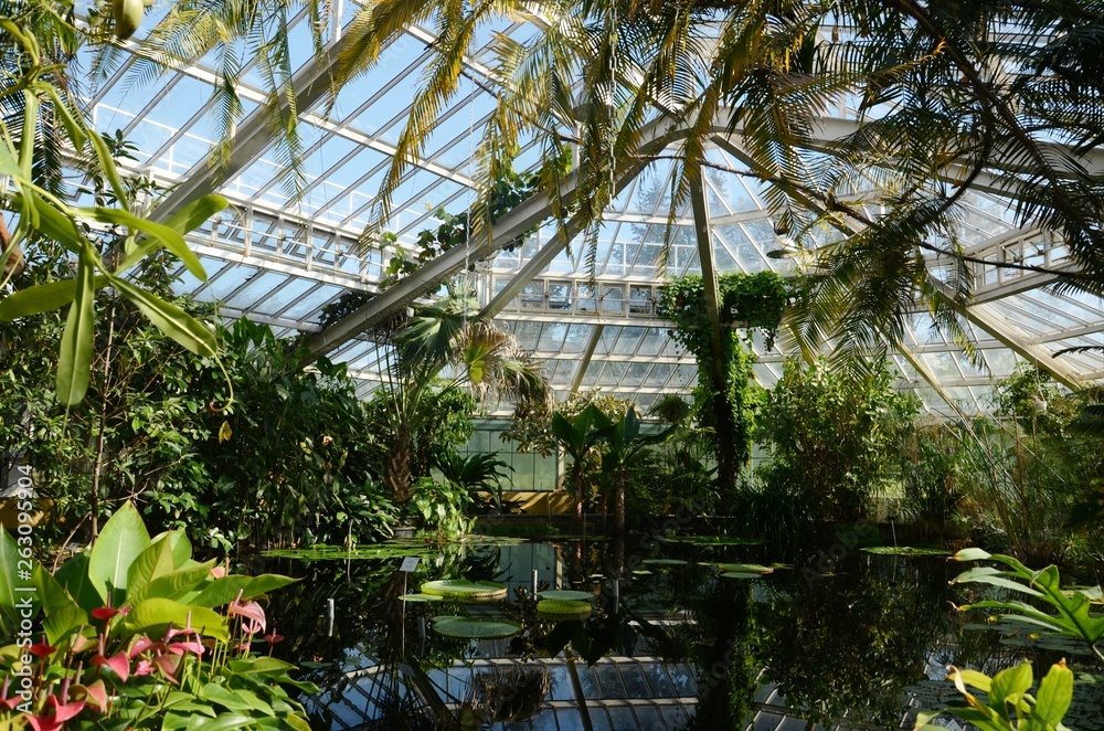 Jardin botanique de Meise (Brabant flamand- Belgique)