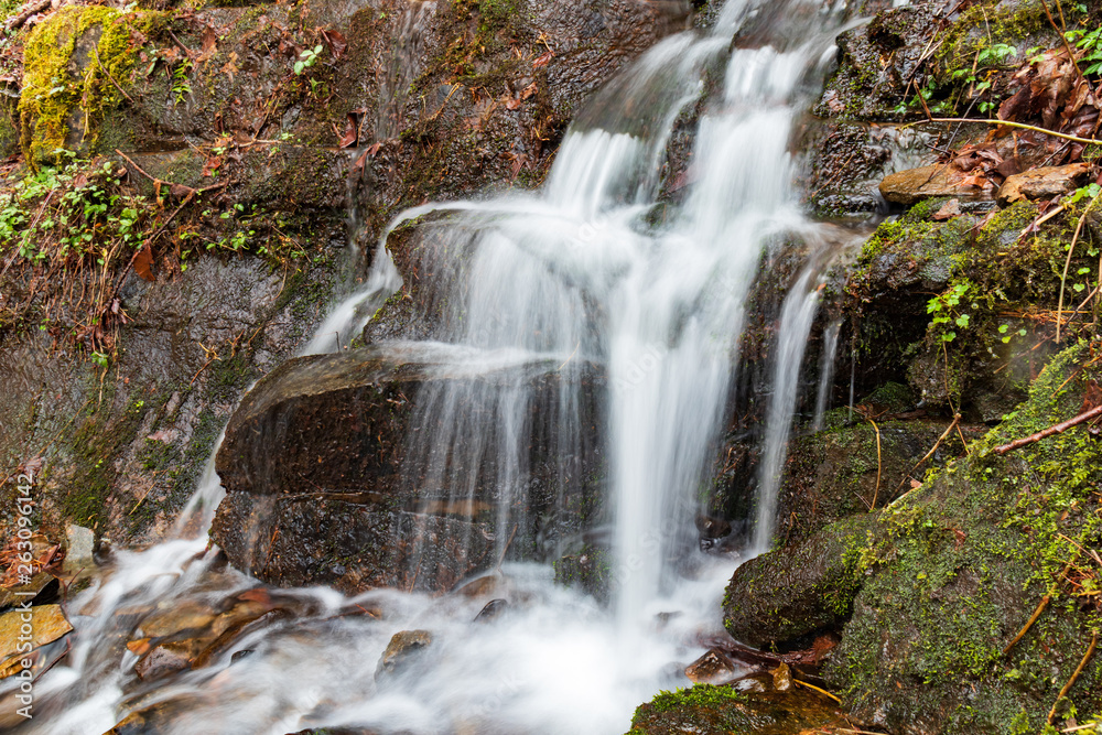 Fototapeta premium Cascading waterfall in Great Smoky Mountains National Park