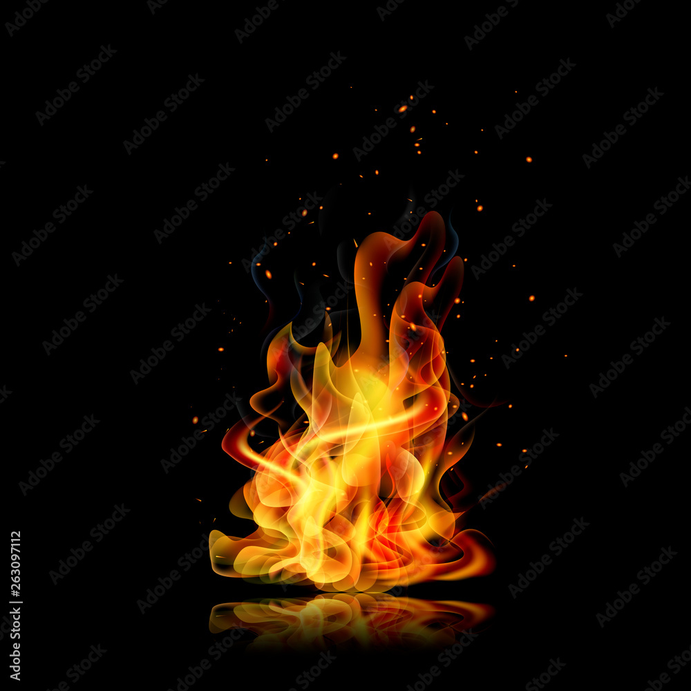 Fire flame. Black background. Realistic fire. Vector Stock Vector
