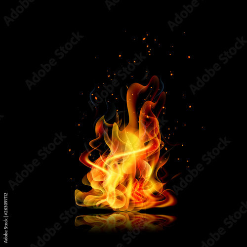 Fire flame. Black background. Realistic fire. Vector