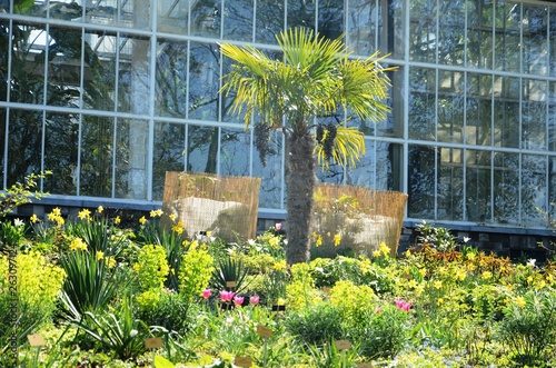 Jardin botanique de Meise (Brabant flamand- Belgique) photo
