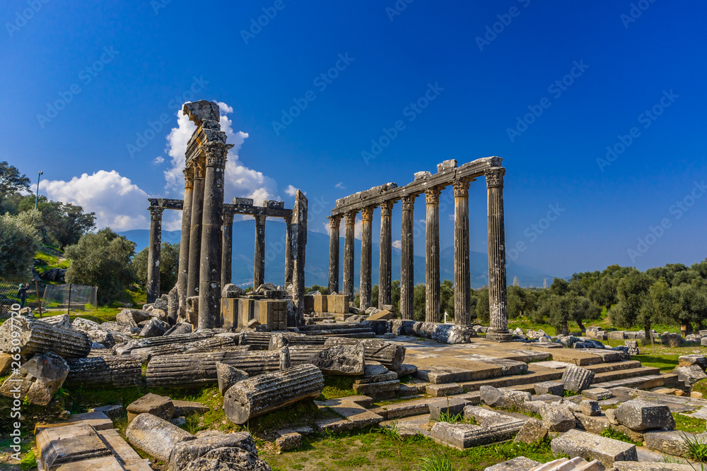 Fototapeta premium Euromos Ancient City. The temple of Zeus Lepsinos (Lepsynos) was built in the 2nd century. Milas, Mugla, Turkey