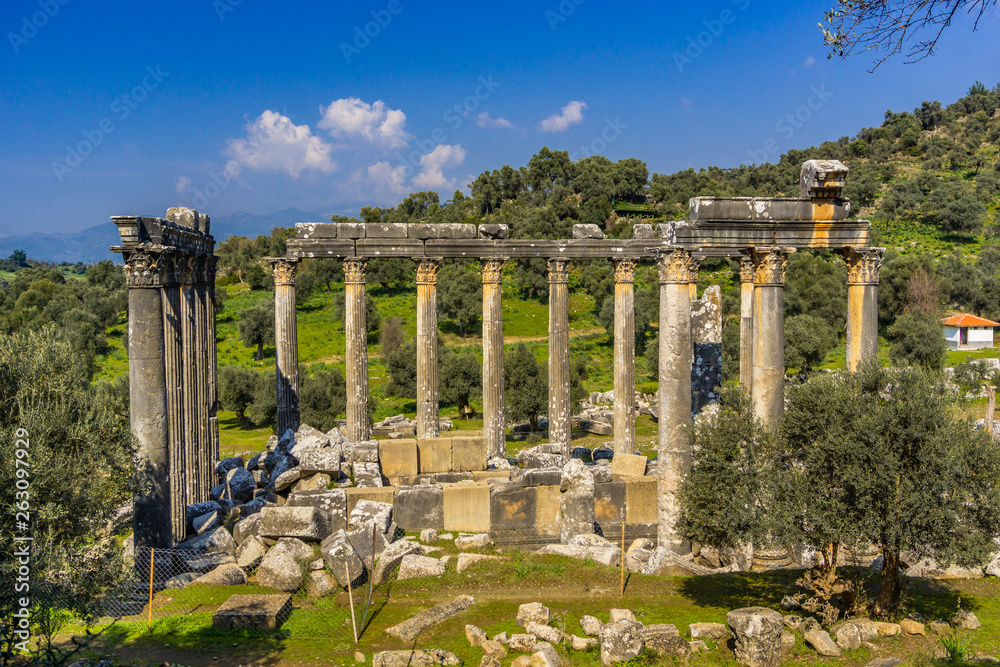 Euromos (Euromus) Ancient City.  Soke - Milas road, Mugla, Turkey. Temple of Zeus Lepsynos was built in the 2nd century