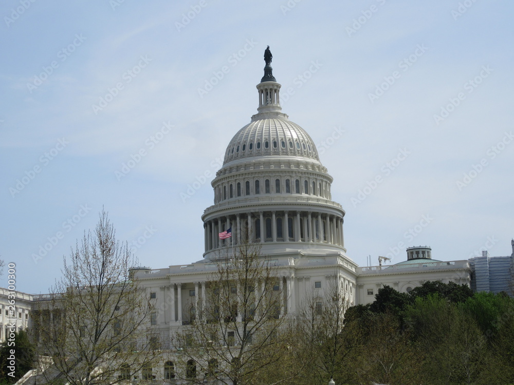 Naklejka premium Capitol Hill in Washington DC