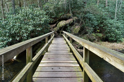 Wooden bridge over a stream