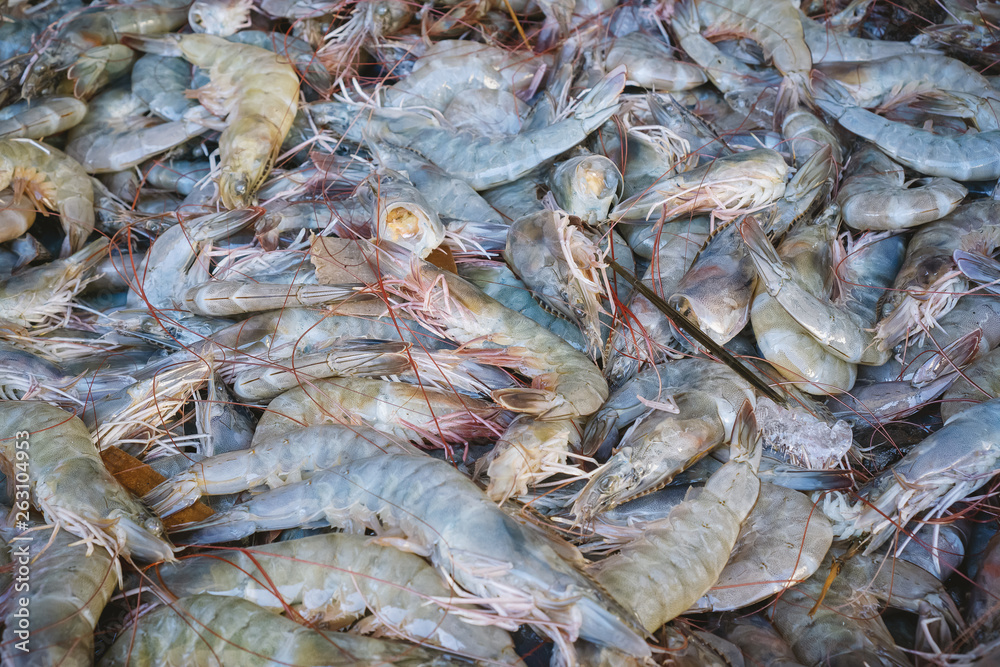 Fototapeta premium Pile of Fresh Prawns