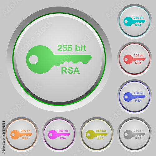 256 bit rsa encryption push buttons