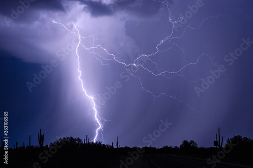 Lightning bolt storm in the desert