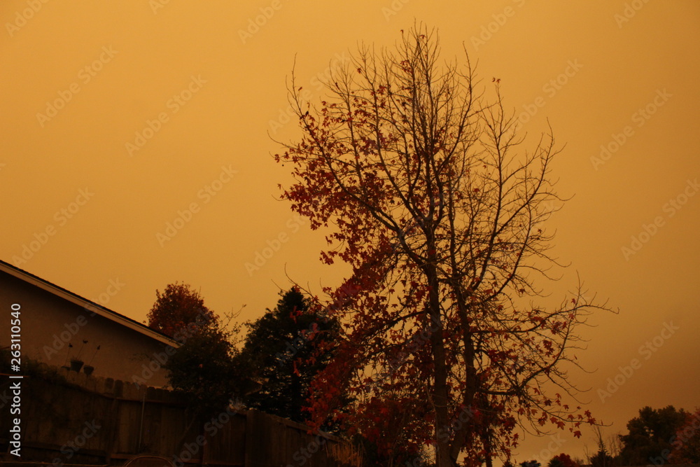 Fototapeta premium california wildfires