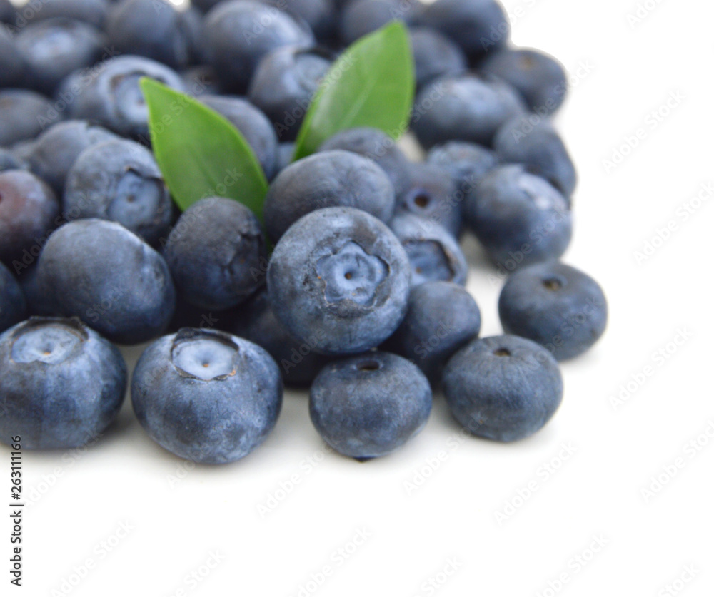 Blueberries on white background Blueberries on white background