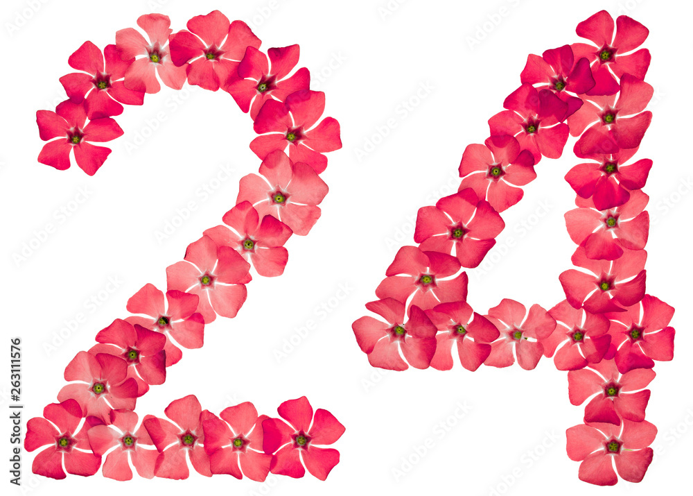 Numeral 24, twenty four, from natural red flowers of periwinkle, isolated on white background