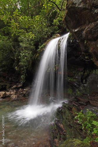 Grotto Falls in early summer in the Great Smoky Mountains National Park, Tennessee.