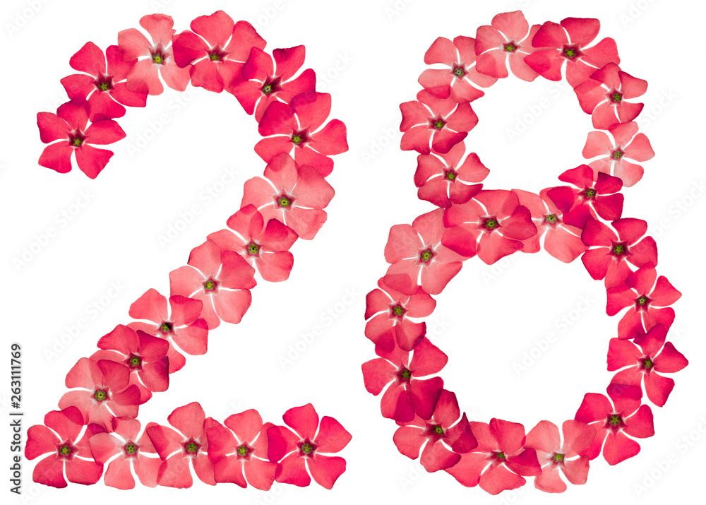Numeral 28, twenty eight, from natural red flowers of periwinkle, isolated on white background