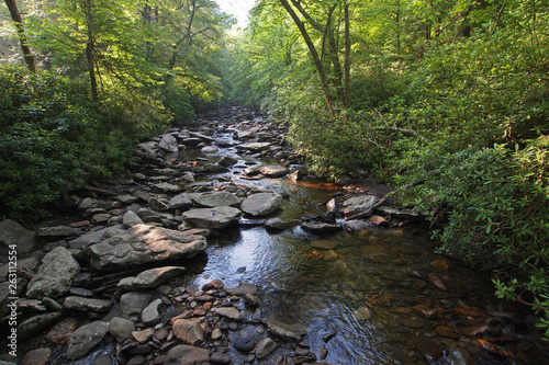 Tablou canvas Trailside creek in the Great Smoky Mountains National Park, Tennessee, in early summer
